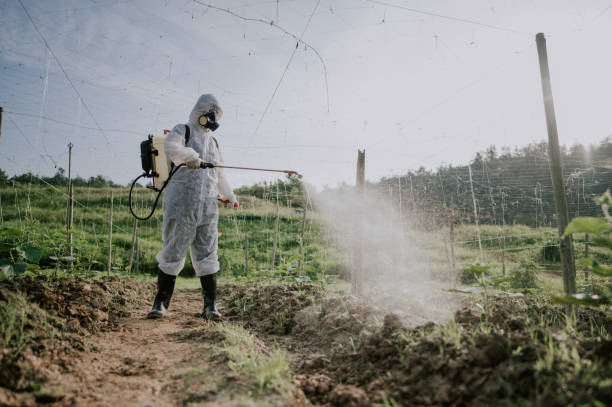 Best Mosquito Control Services  in Rupert, ID