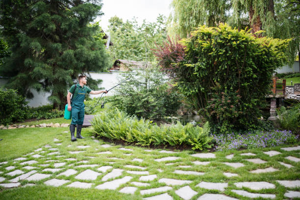 Pest Prevention Services in Rupert, ID