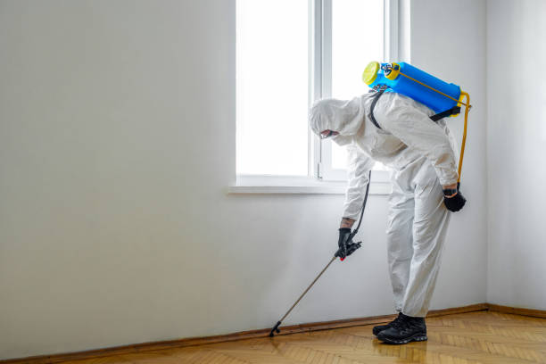 Flea Control Services in Rupert, ID