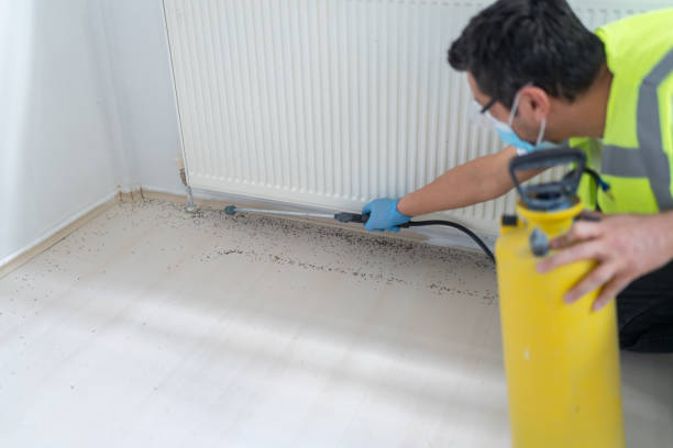 Best Commercial Pest Control Services  in Rupert, ID